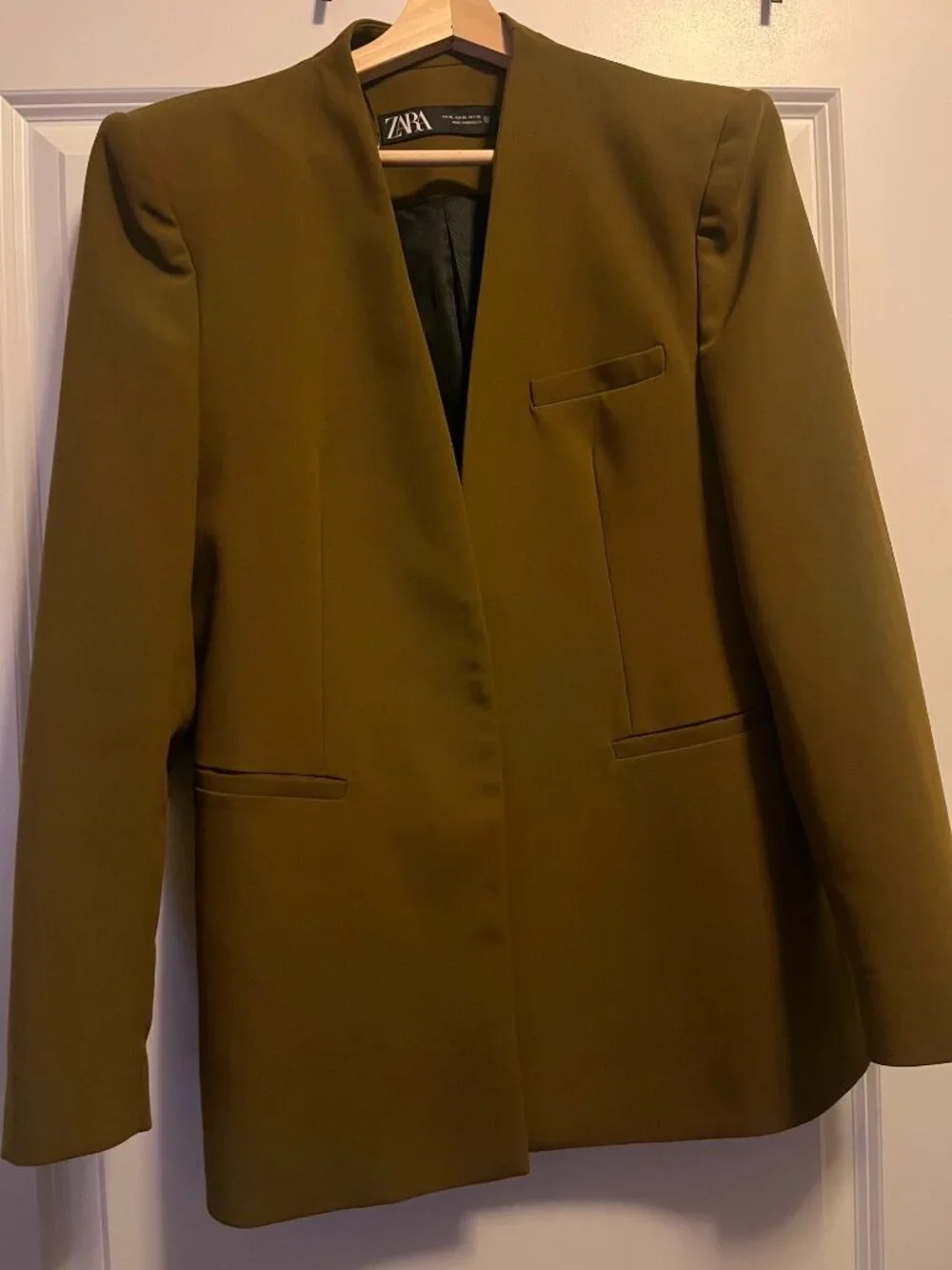 Zara Fitted Blazer & Pleated Pants (Olive) (Size XL)